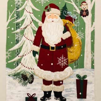 QUILT KIT SANTA BY GINA PANEL