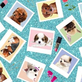 HENRY GLASS DIVA PUPS AQUA PHOTOS