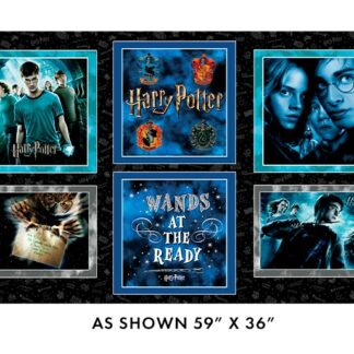 https://www.austinssewingcenter.com/shop/c/p/HARRY-POTTER-HP-PILLOW-PANEL-59-X-36-x98395624.htm