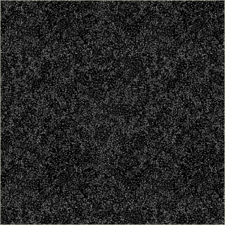 PEN & PETAL SPECK BLACK