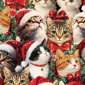 https://www.austinssewingcenter.com/shop/c/p/MERRY-CATS-TOSS-BLACK-MULTI-x102074269.htm