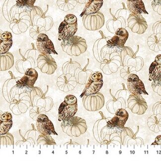 NIGHT OWL OWLS BY NORTHCOTT