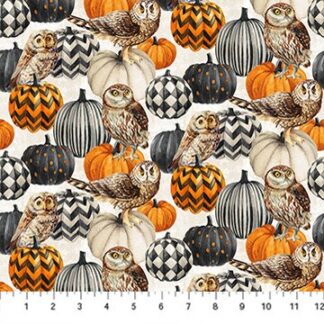 NIGHT OWL OWL AND PUMPKIN BY NORTHCOTT