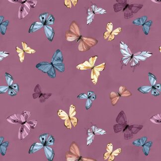 WHITE OWL GROWING IN COLOR BUTTERFLIES PLUM